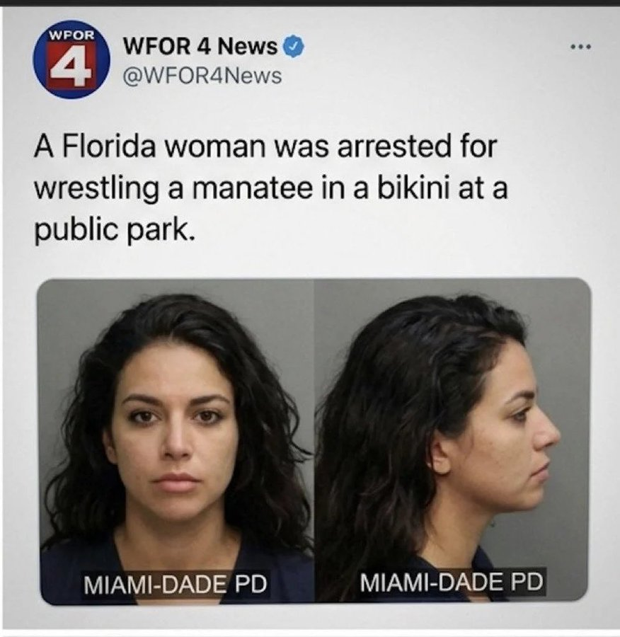 RepJackKimble's tweet photo. I'm going to be honest, I just want to know how they got a bikini on a manatee. https://t.co/XEbRGHbVQd