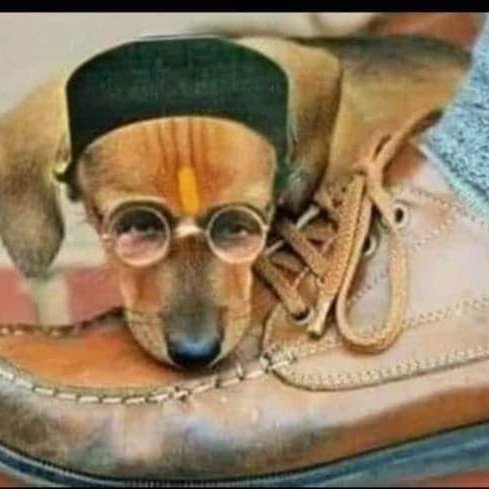 Mr Sinha Commentary tweet media