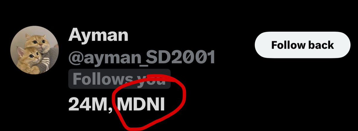 ݁ ˖Ი𐑼⋆ 𝑐𝑜𝑡𝑡𝑜𝑛 .𖥔 ݁ ˖ 𝑠ℎ𝑒𝑑𝑡𝑤𝑡 tweet media