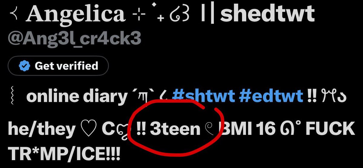 ݁ ˖Ი𐑼⋆ 𝑐𝑜𝑡𝑡𝑜𝑛 .𖥔 ݁ ˖ 𝑠ℎ𝑒𝑑𝑡𝑤𝑡 tweet media