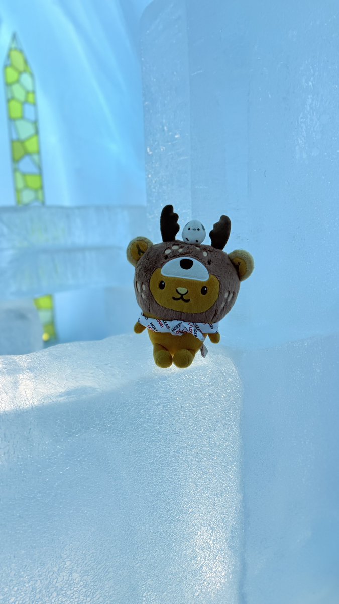 キュンちゃん【公式】 (@kyunchan_dc) / Highlights / X