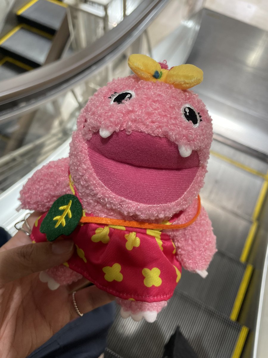 可愛い めっちゃがんこちゃんって感じ！ このお口開けてるのが最高