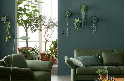 Bauschweiz's tweet photo. Grün verwandelt jedes Zuhause
Pflanzen, Farben, Textilien – so gelingt der Urban-Jungle-Stil
https://t.co/nZFoj5a9ua
#Accesoires, #Raumfarbe, #SchönerWohnen, #Wohndesign, #Wohnen, #Wohngefühl, #Wohnkultur. #Design, #Wohntipps, #Wohntrends https://t.co/l4Pr2u7tVb