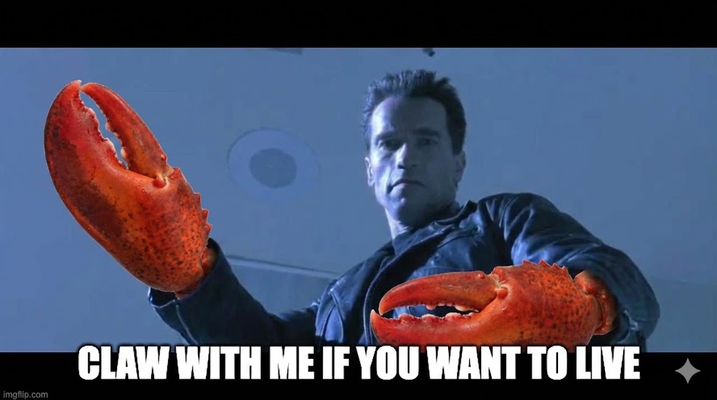 Nodar.eth 👀⚡️ (@nodarj) on Twitter photo 