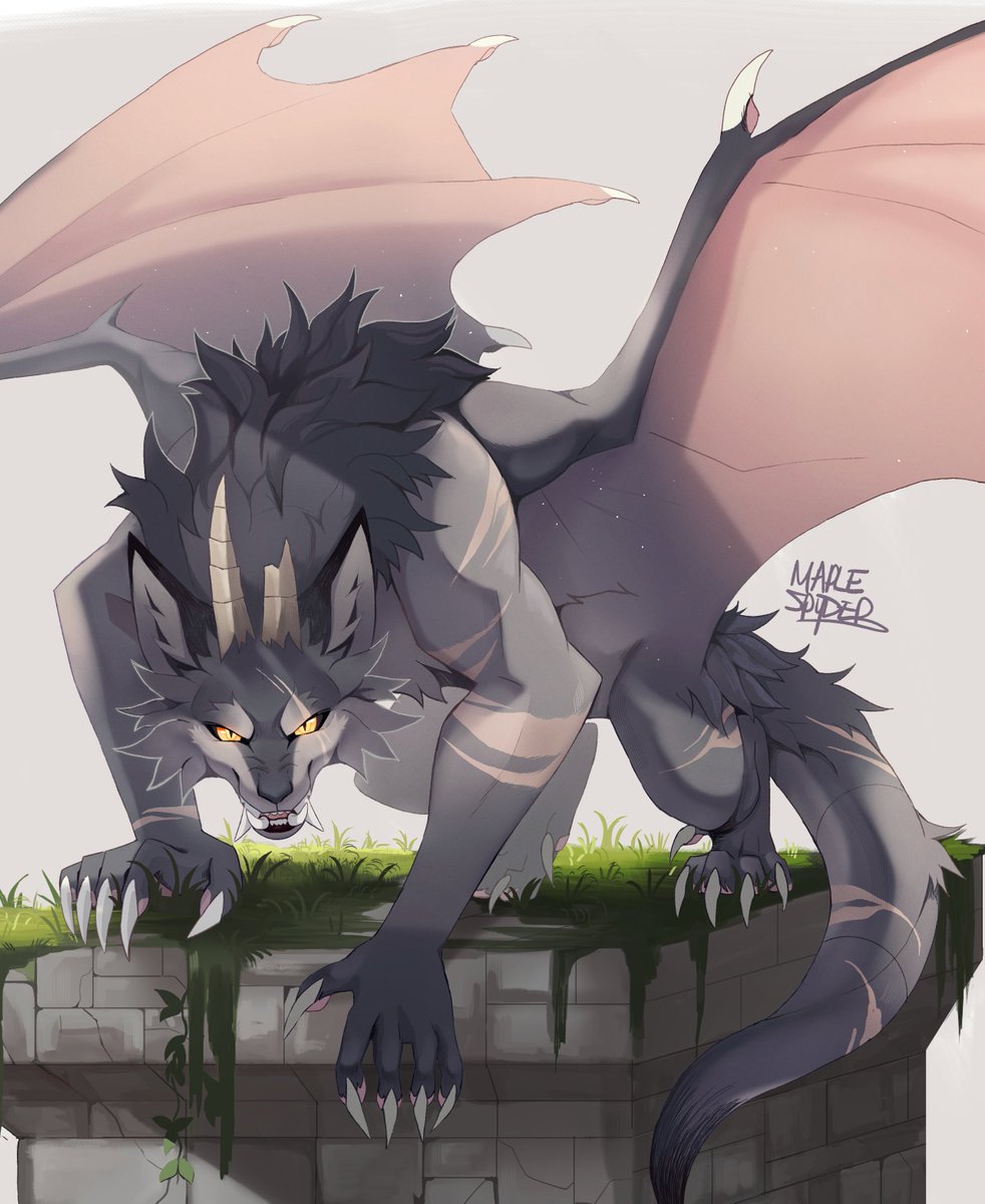 maple / jackal tweet media