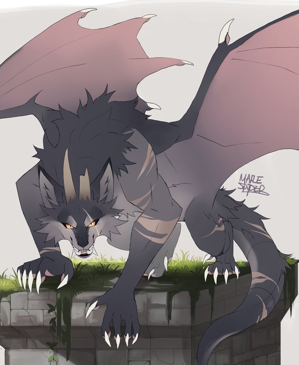 maple / jackal tweet media