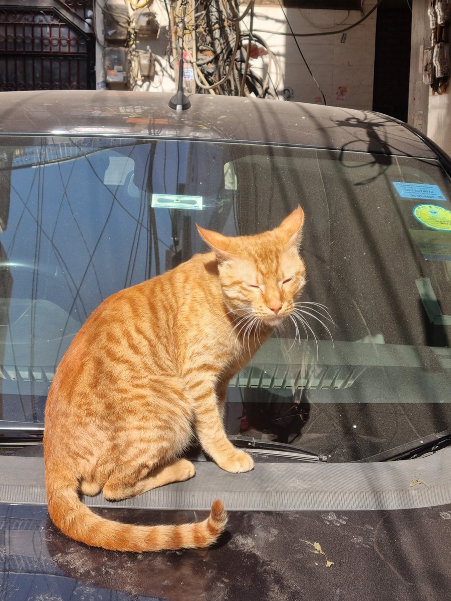 Abhishek Joshi 👨💻🐶 tweet media