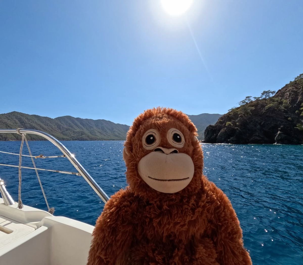 $10 FLASH GIVEAWAY | 1 Person 🚨        

 - Follow with 📷
- Like &amp; Retweet  ❤️
- Drop $SOL Addy 👇

Picking active 👀

Winners will be picked in 5 hours⌛️