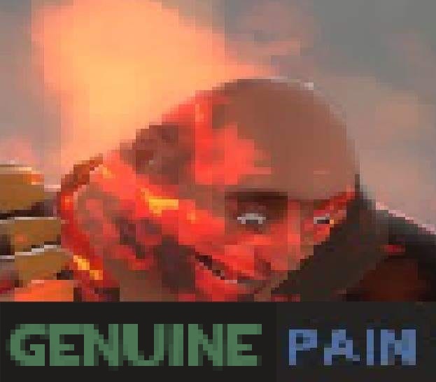 Clipper2018 tweet media