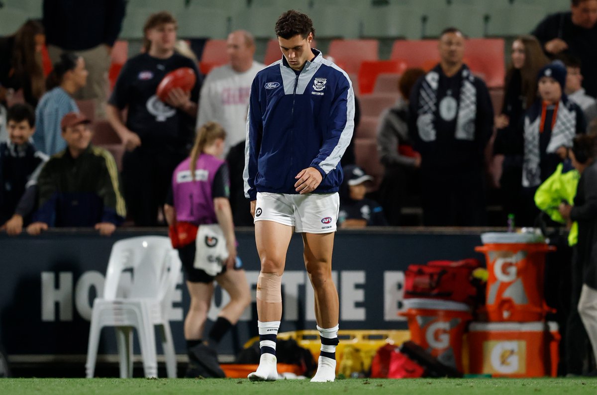 Dan Batten tweet media