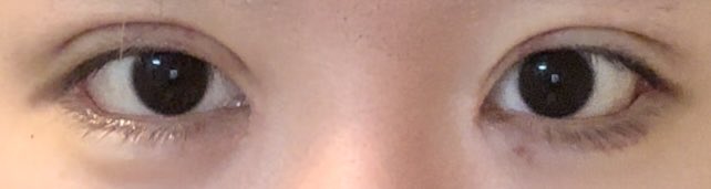 長谷川 tweet media