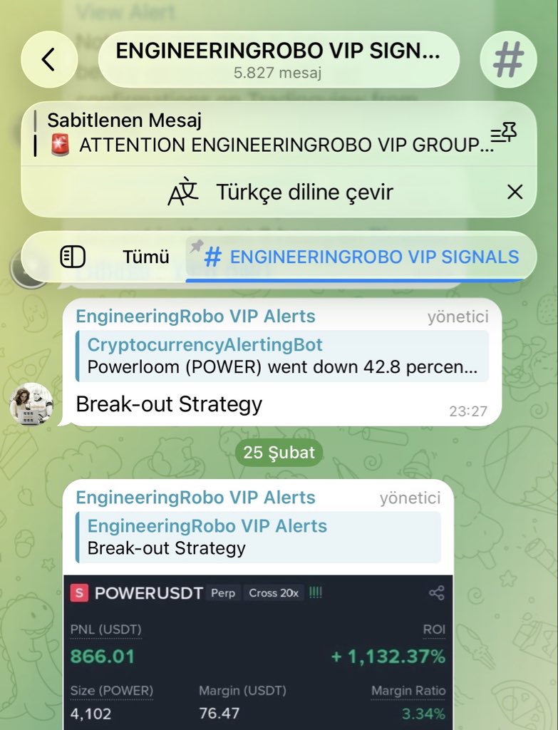 Engineering Robo tweet media