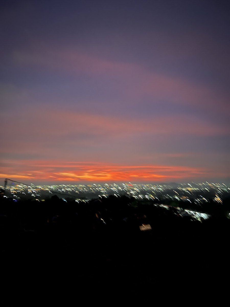 alxversion tweet media