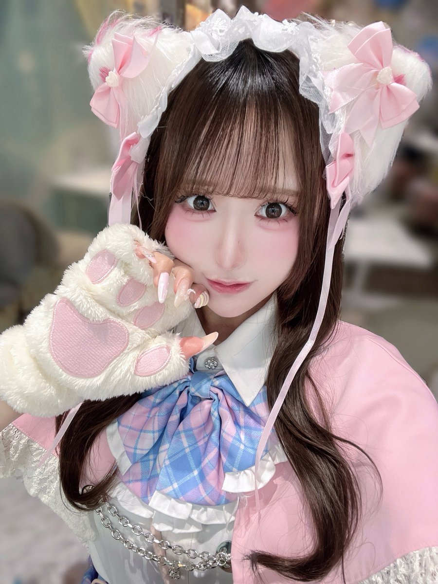 ニャン生は一度きり^ ̳ ̫ ̳^ 🎀