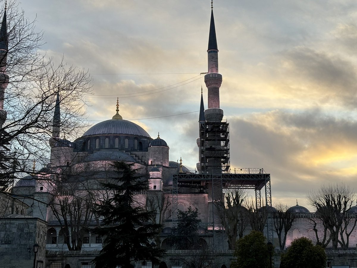 Tom Taylor tweet media