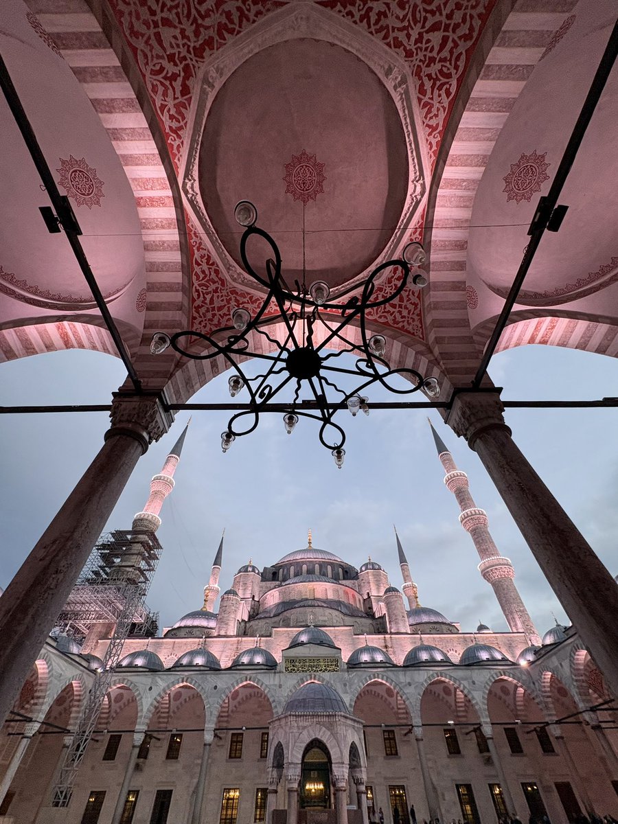 Tom Taylor tweet media