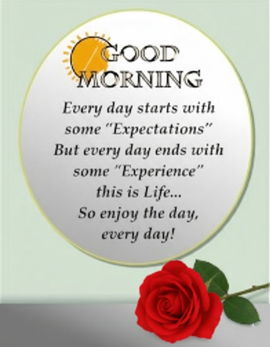 Dear You 💌 tweet media