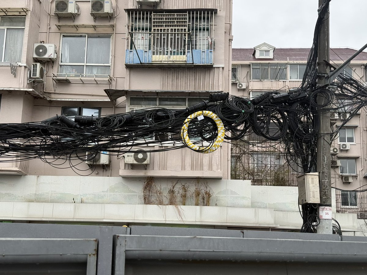 Francesco Crivelli tweet media