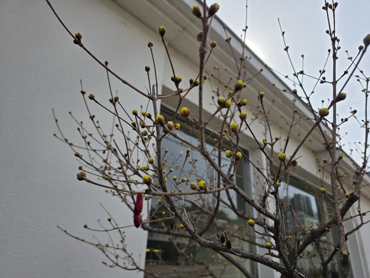 연  하 니 tweet media