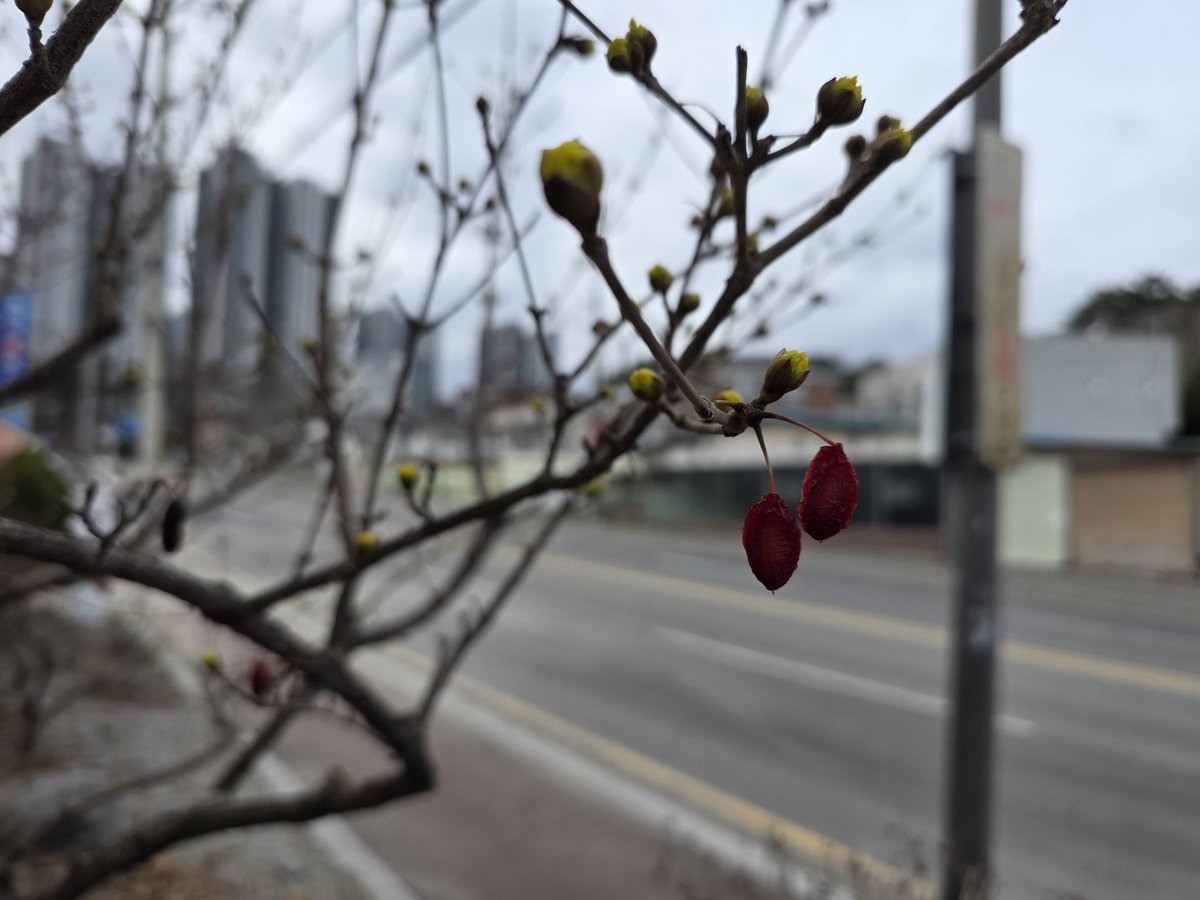 연  하 니 tweet media