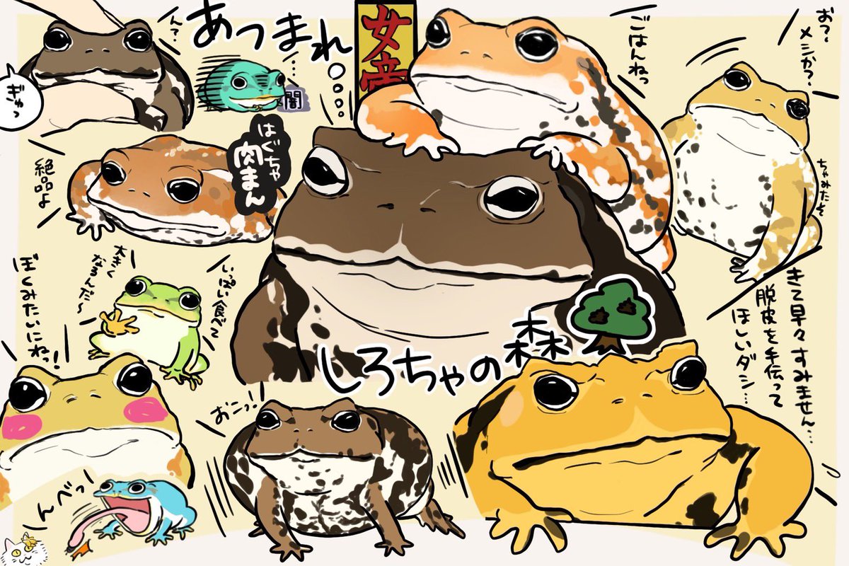 しろぼっちぃ tweet media