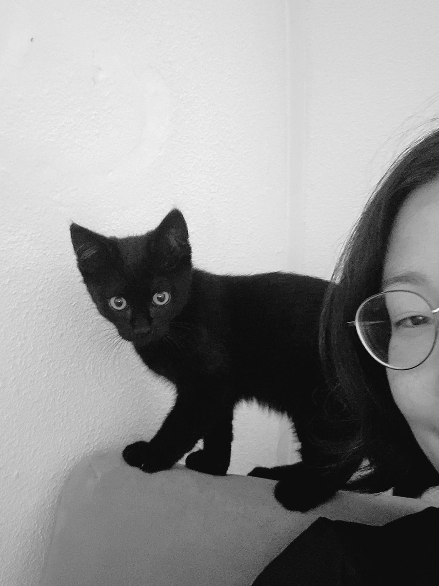 Edgar & Allan🌈 Poes plus Jacob Cat tweet media