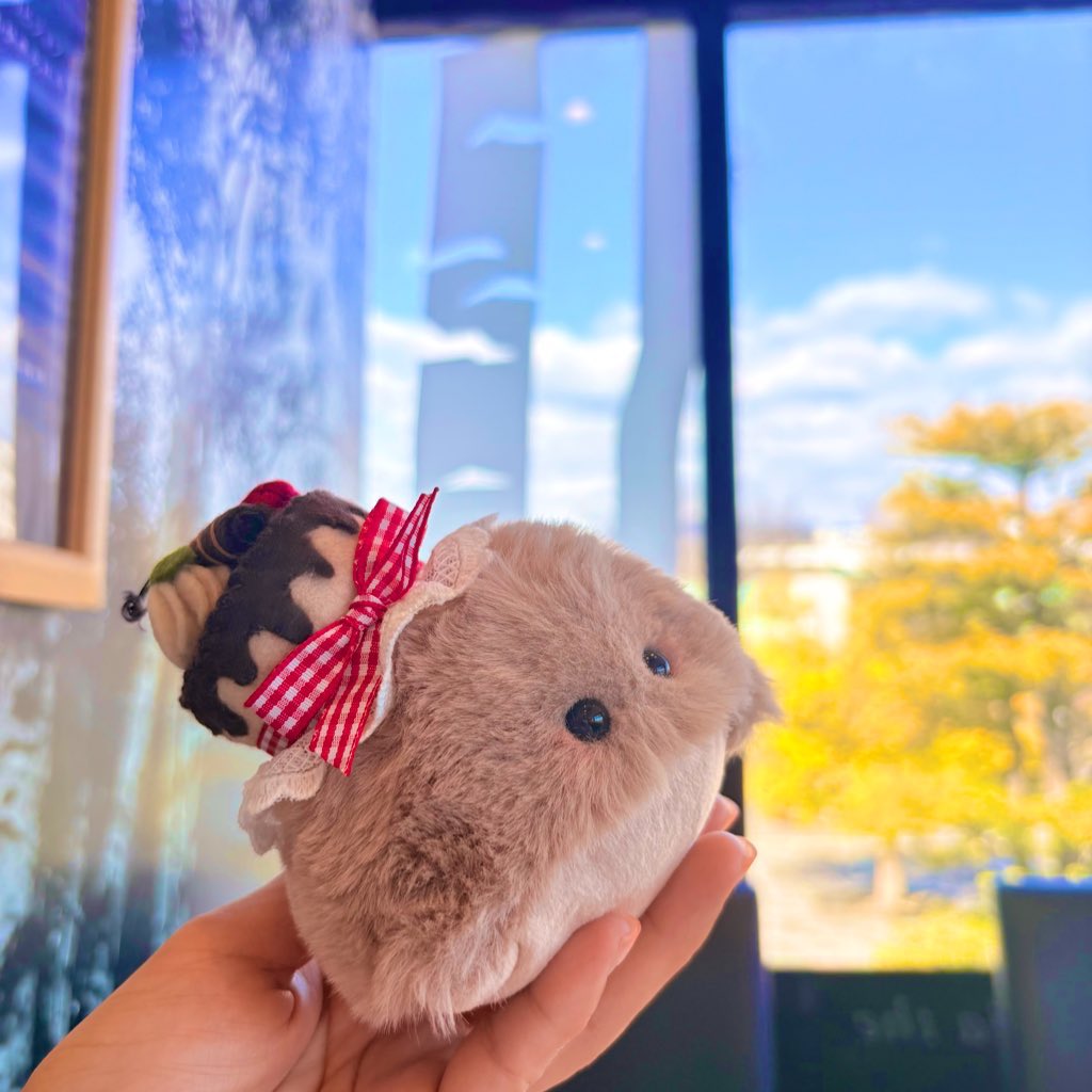 Cootan / くぅたん 公式アカウント (@cootan181) / Posts / X