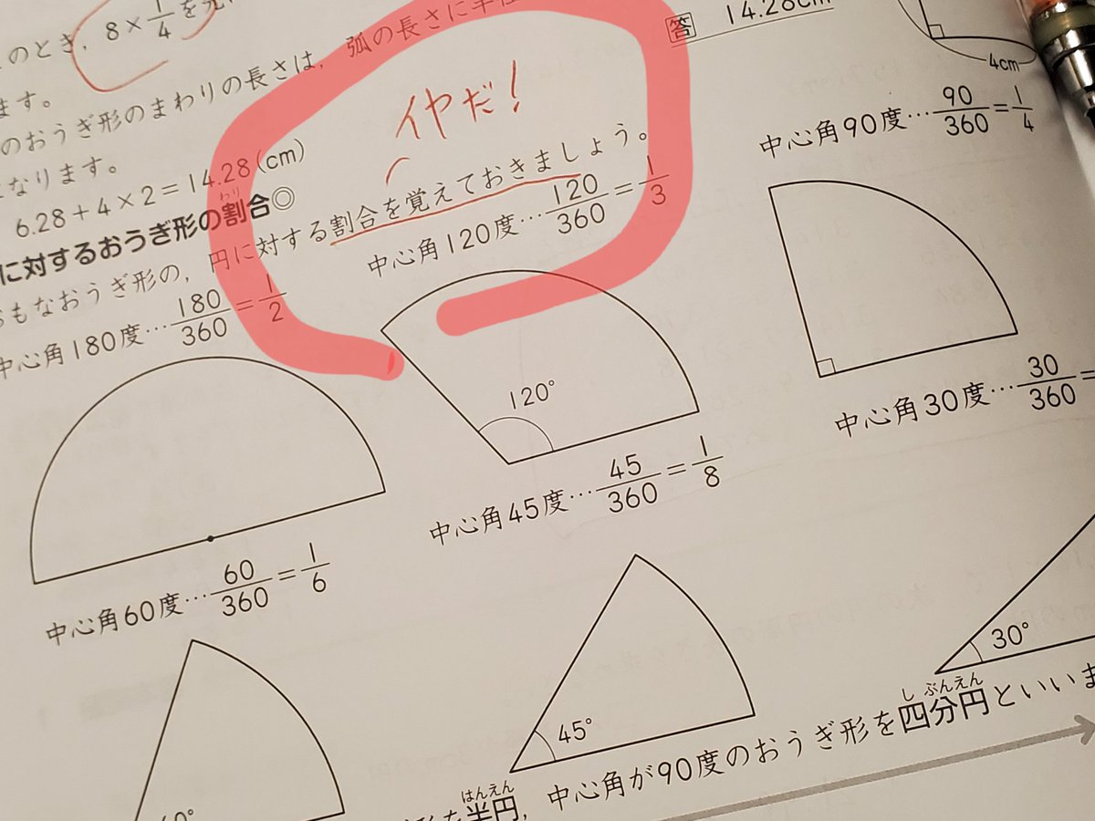 5J算数予習中。曰く「中心角の円全体に対する割合を覚えておきましょう