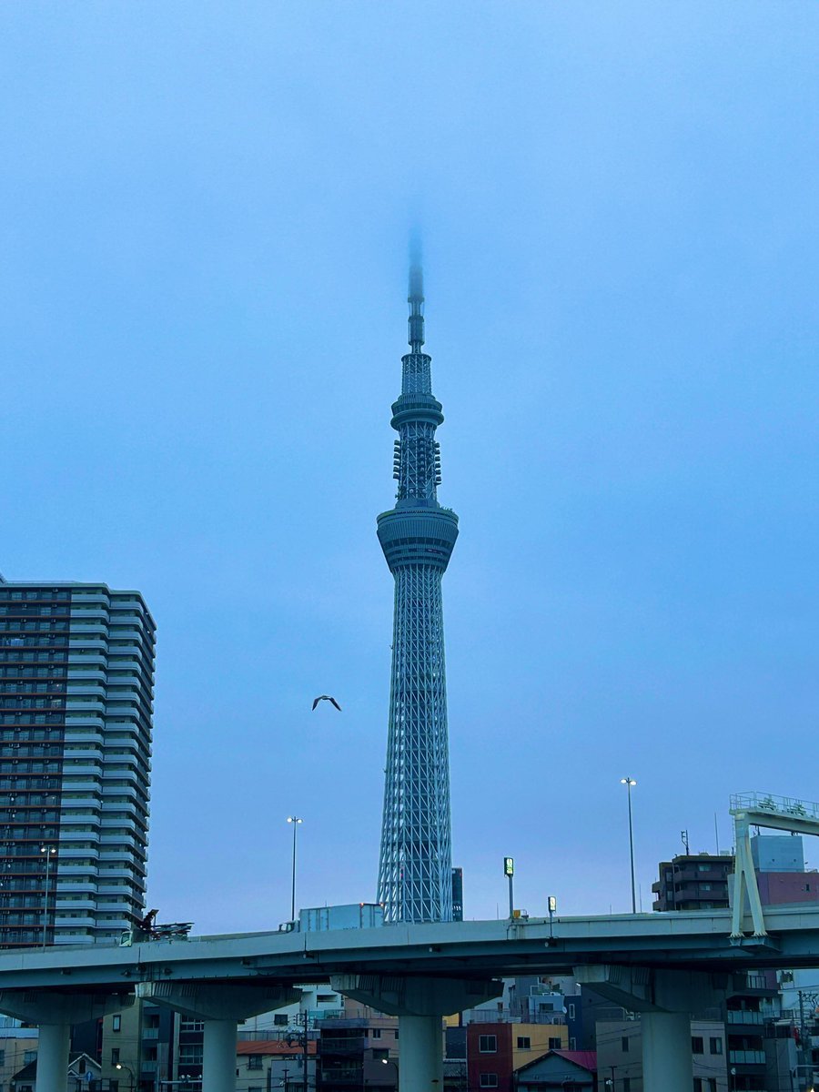 Pablo A. Penietzsche tweet media