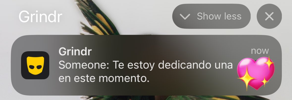 PReggaetonera's tweet photo. El romanticismo no ha muerto ✨ https://t.co/G9JoalYG95