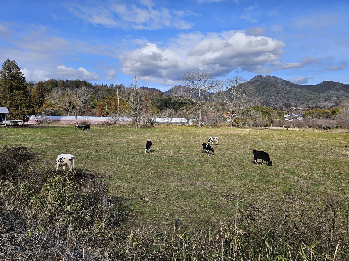 牧場来た