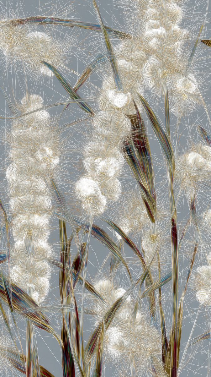 Anna Condo tweet media