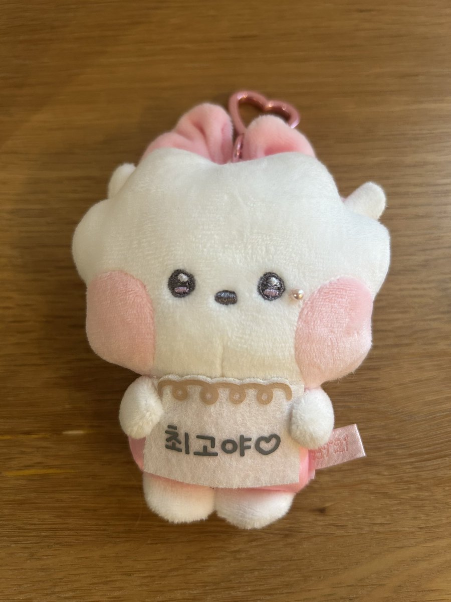 我慢できずに昨日ポチしたこの子が今日もう届いて、可愛すぎて私が涙目。