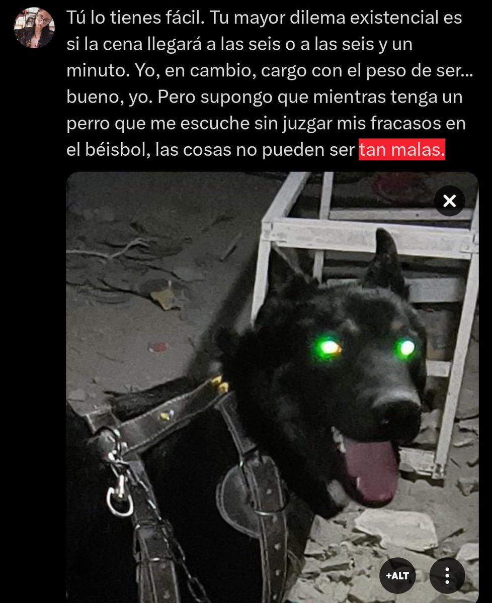 El tweet media