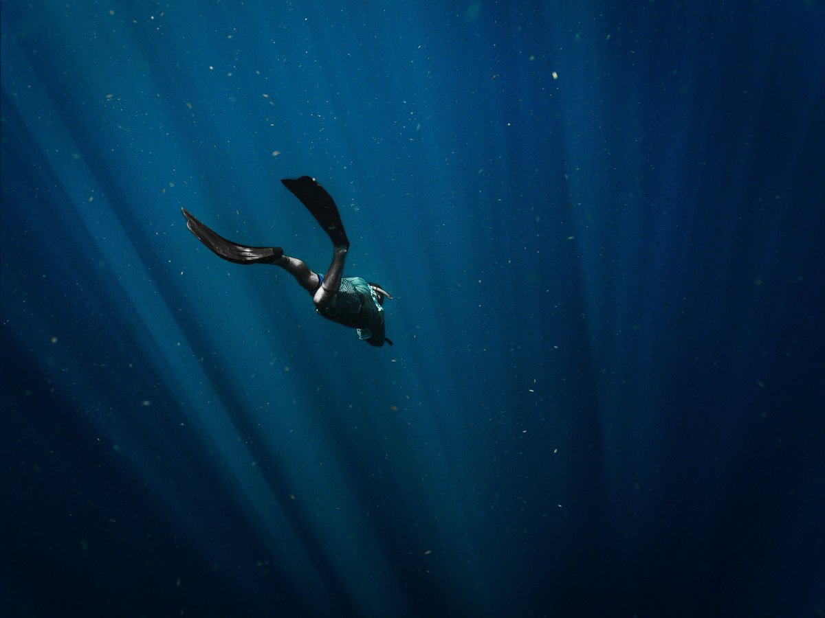 diveSSI tweet media