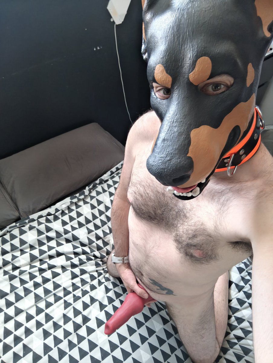Rubber Pet 🦊 tweet media
