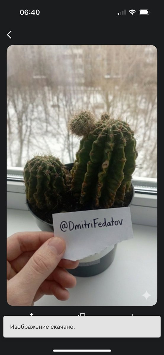 aiforgeon's tweet photo. @MossYGravel Some cactus vibes to the family $MOSS @MossYGravel 
My Sol wallet 

6KAJarrBXhyxCqgvcfpGozNcDkS7CxJiQEsPhiy1GKr7 https://t.co/qAI4tTvkwD