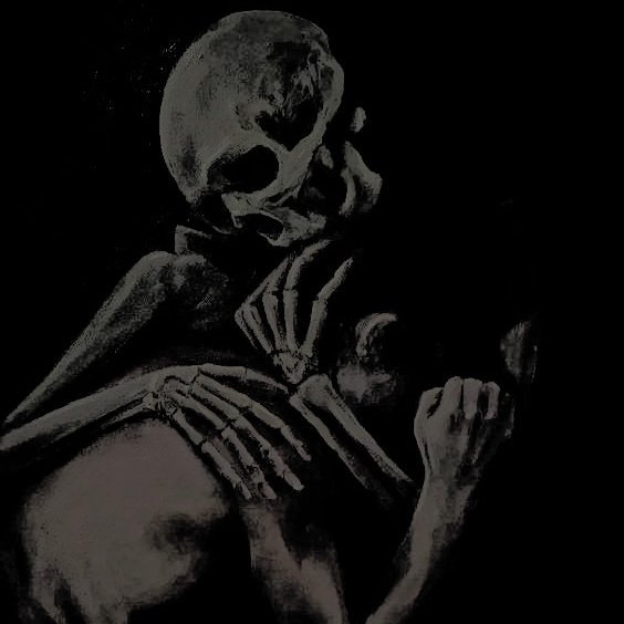 𝑩𝒆𝒍𝒍𝒂𝒕𝒓𝒊𝒙 𝕭. tweet media