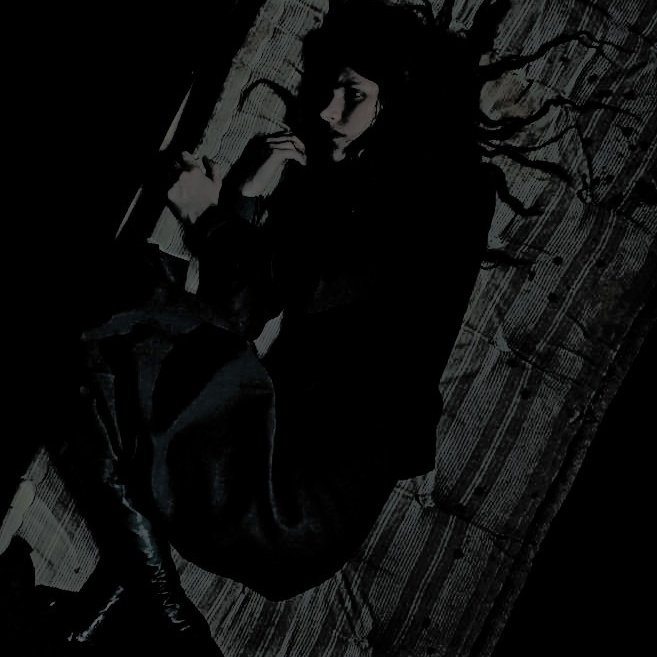 𝑩𝒆𝒍𝒍𝒂𝒕𝒓𝒊𝒙 𝕭. tweet media