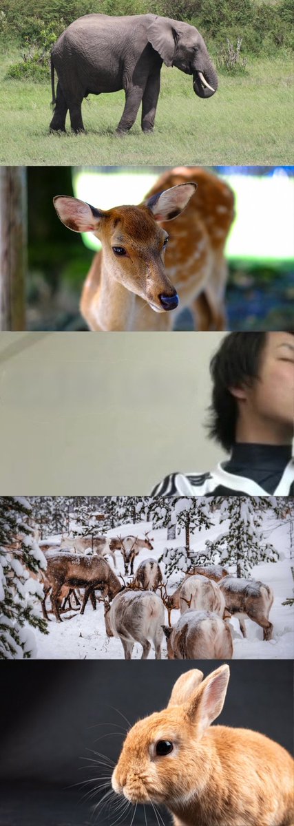 黄推福利内容 - なつき的精彩图片 福利姬なつき分享的黄推图片1 - 网红私拍内容