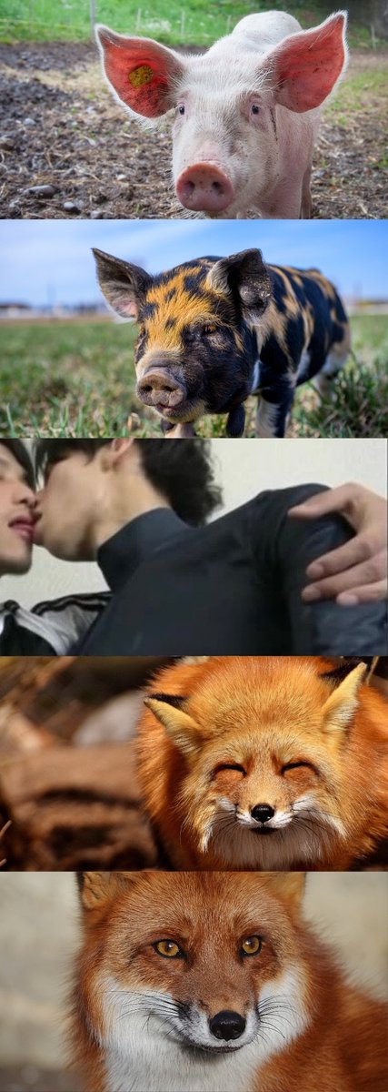 黄推福利内容 - なつき的精彩图片 福利姬なつき分享的黄推图片2 - 网红私拍内容