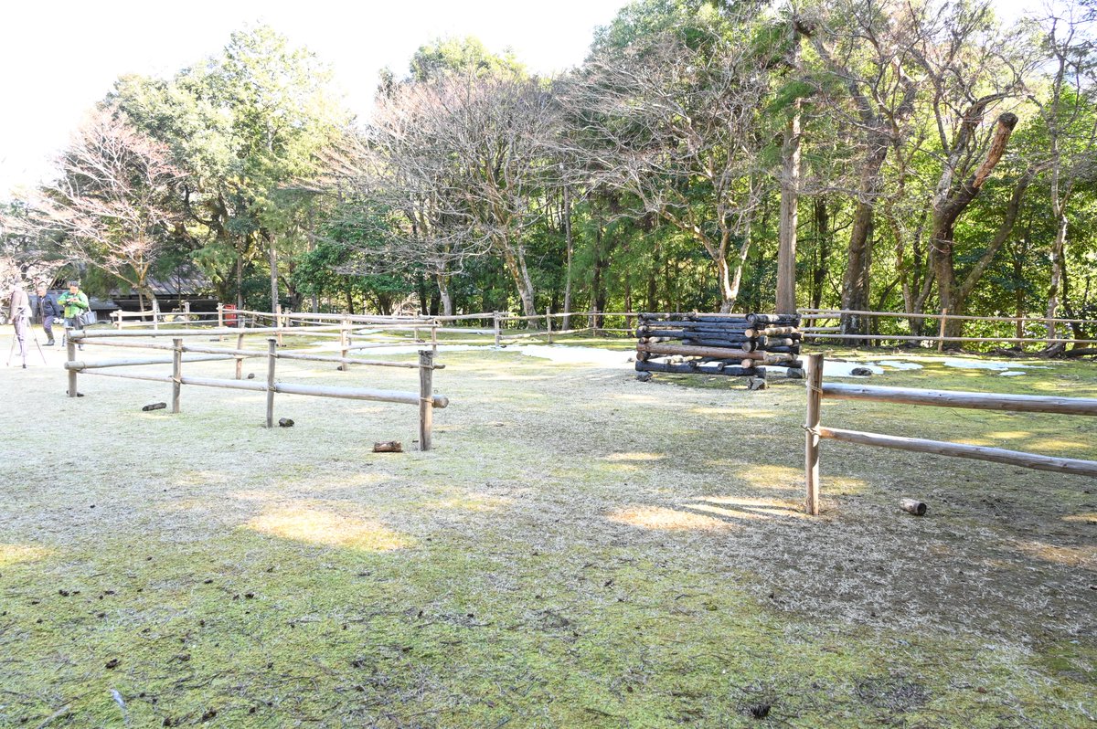 小浜市 tweet media