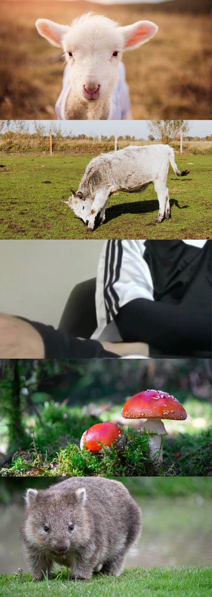 黄推福利内容 - なつき的精彩图片 福利姬なつき分享的黄推图片3 - 网红私拍内容