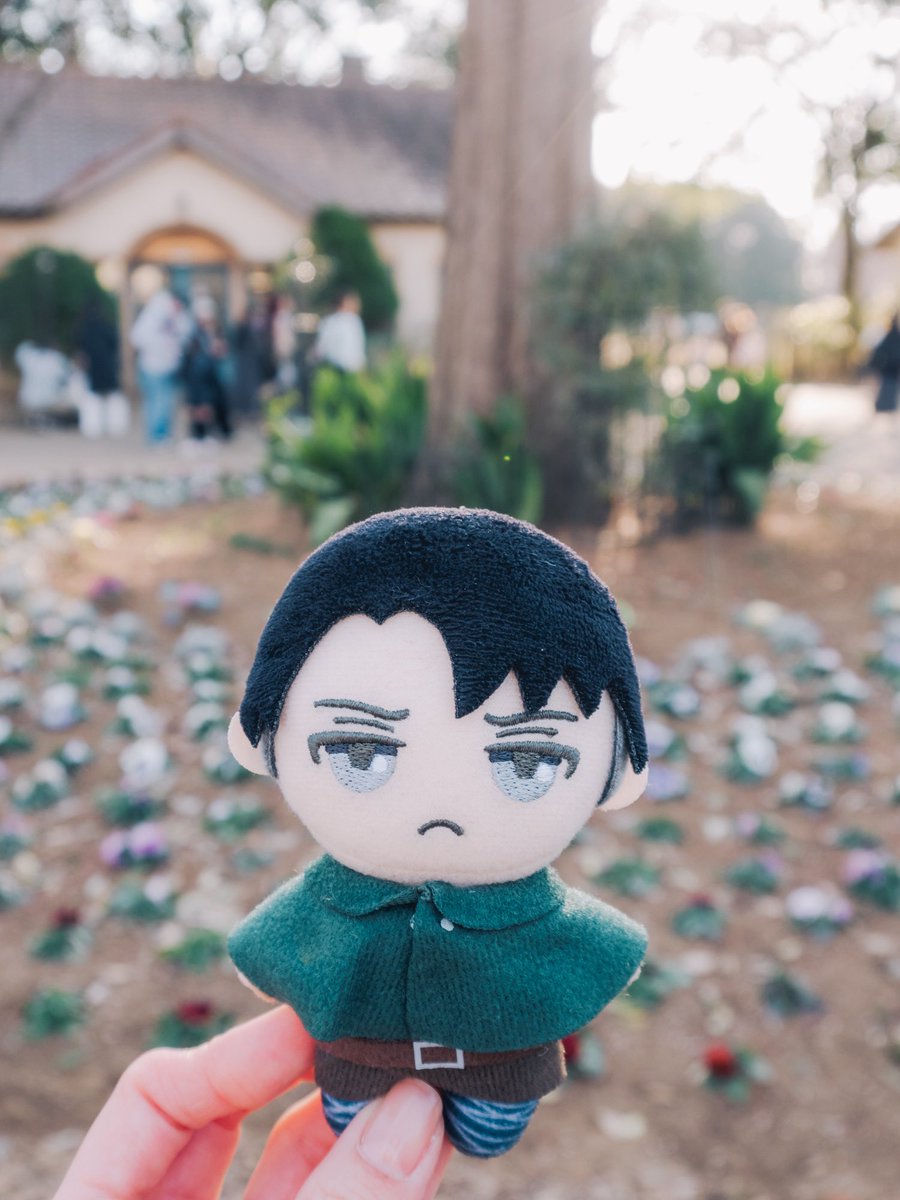 _moaharu's tweet photo. 週末🌷 https://t.co/2orcrzwYE0