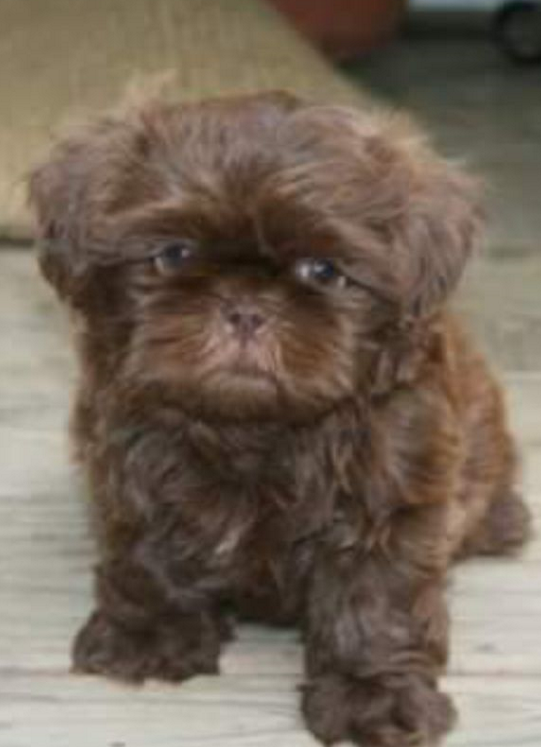 BullRacksin tweet media