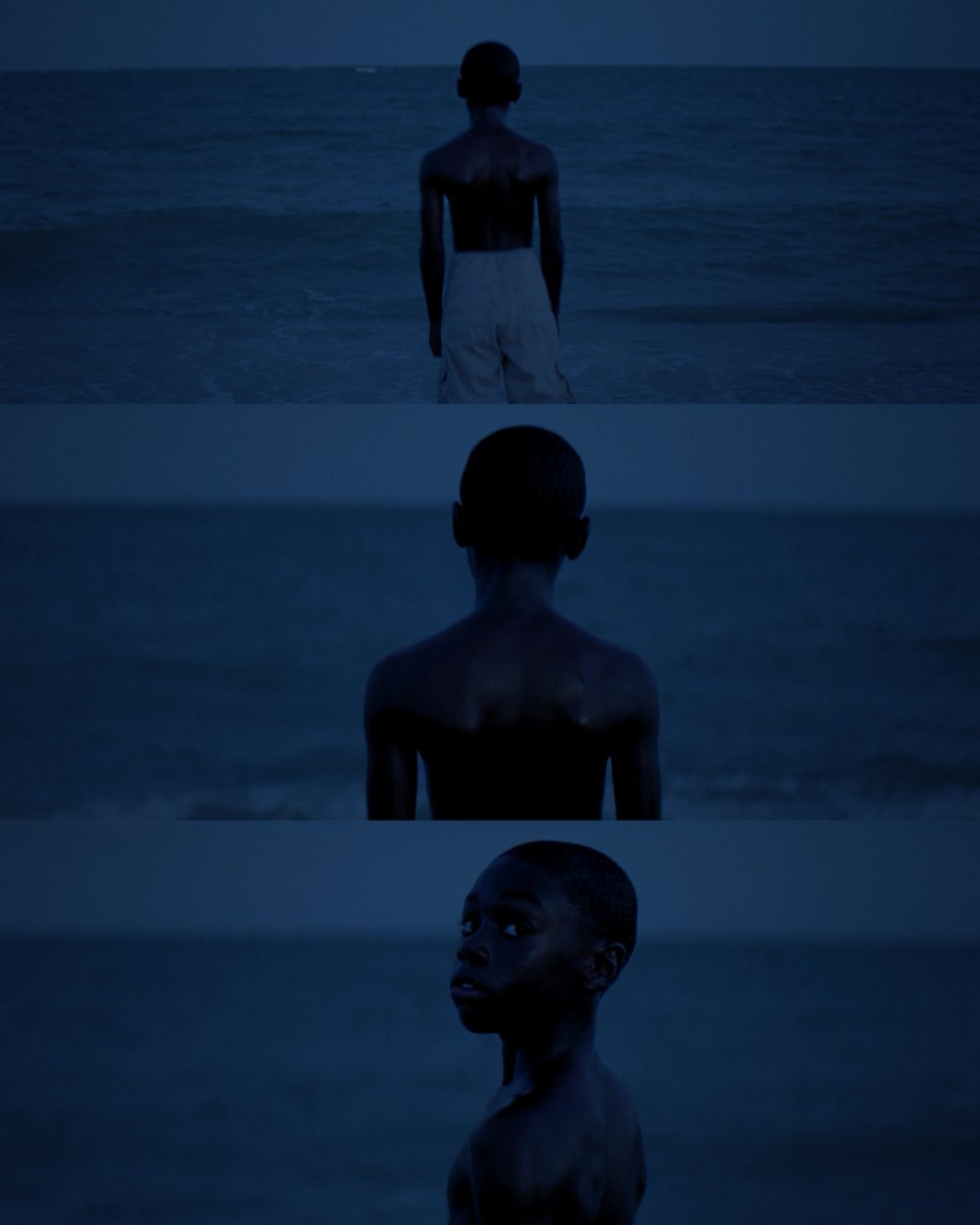moonlight (2016) dir. barry jenkins