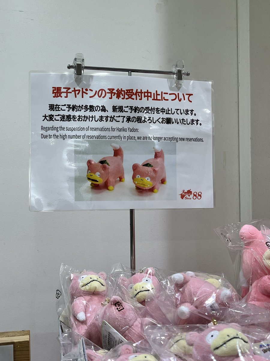 目的のひとつの 張子ヤドン予約できなかった😂