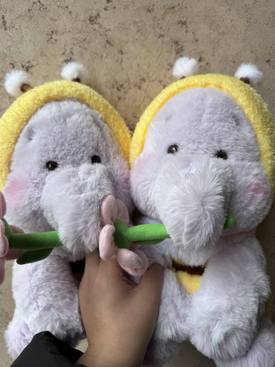 🐭＠取引垢 tweet media