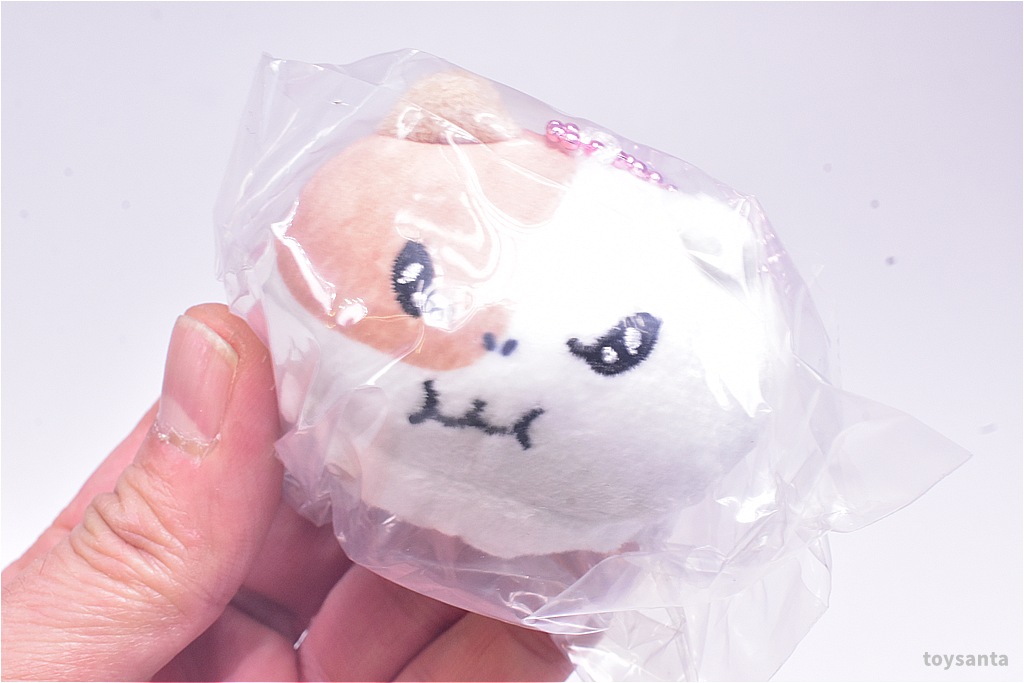 ✨新商品案内 2026年2月26日(木)✨／ ☑️もちにゃみ ぬいぐるみ