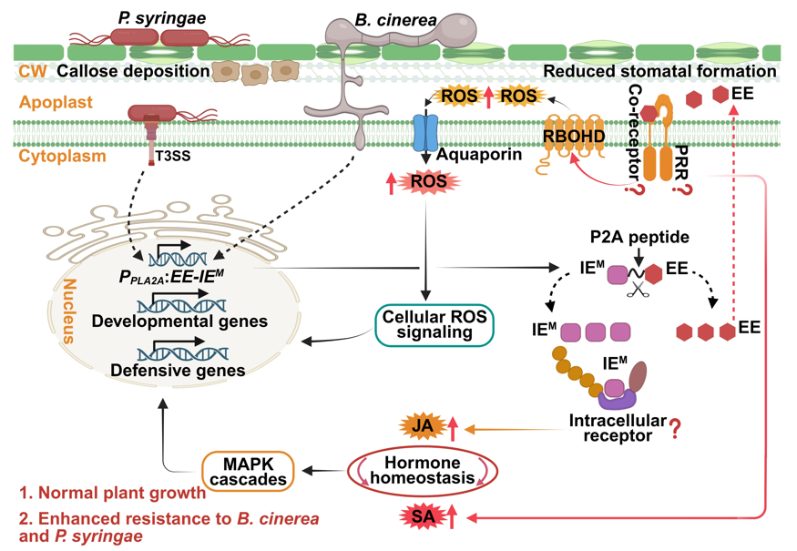 Molecular Plant & Plant Communications tweet media